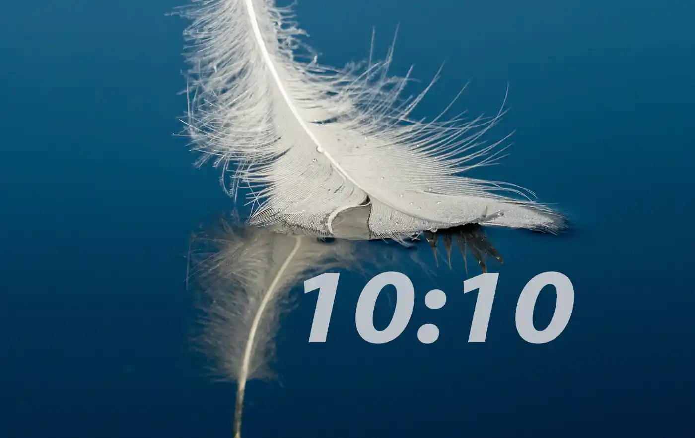 1010 значение